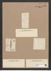 Grammonema striatulum Ag. (de-Toni-Nr.: Genus 74, Species 2799) Zeichnungen Sammlung Grunow Nr. 5745 (NHMW-BOT-W0374133)